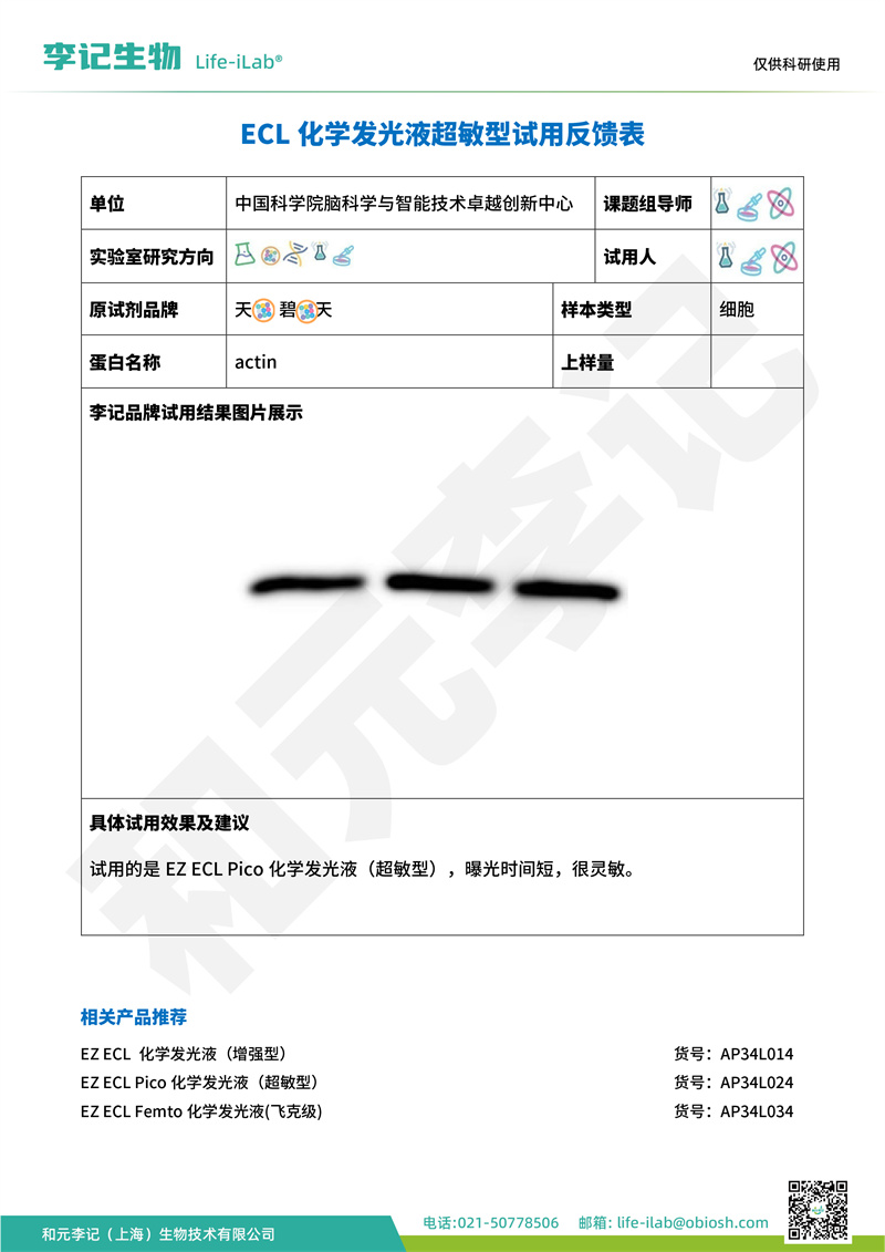 超敏发光液2中国科学院脑科学与智能技术卓越创新中心-改.jpg