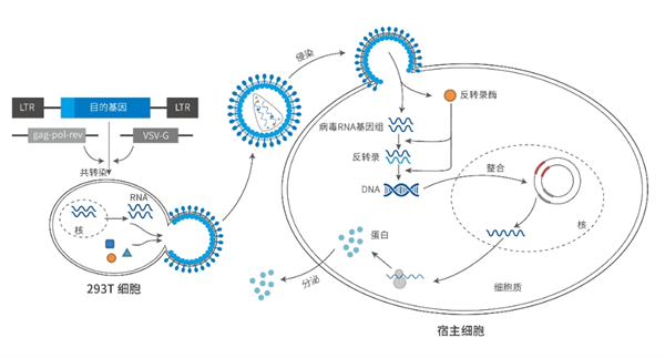 微信截图_20240410110410.png