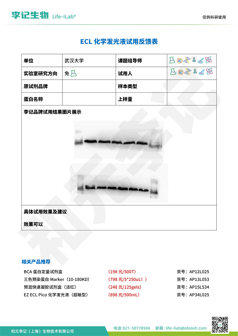 发光液2武汉大学.jpg