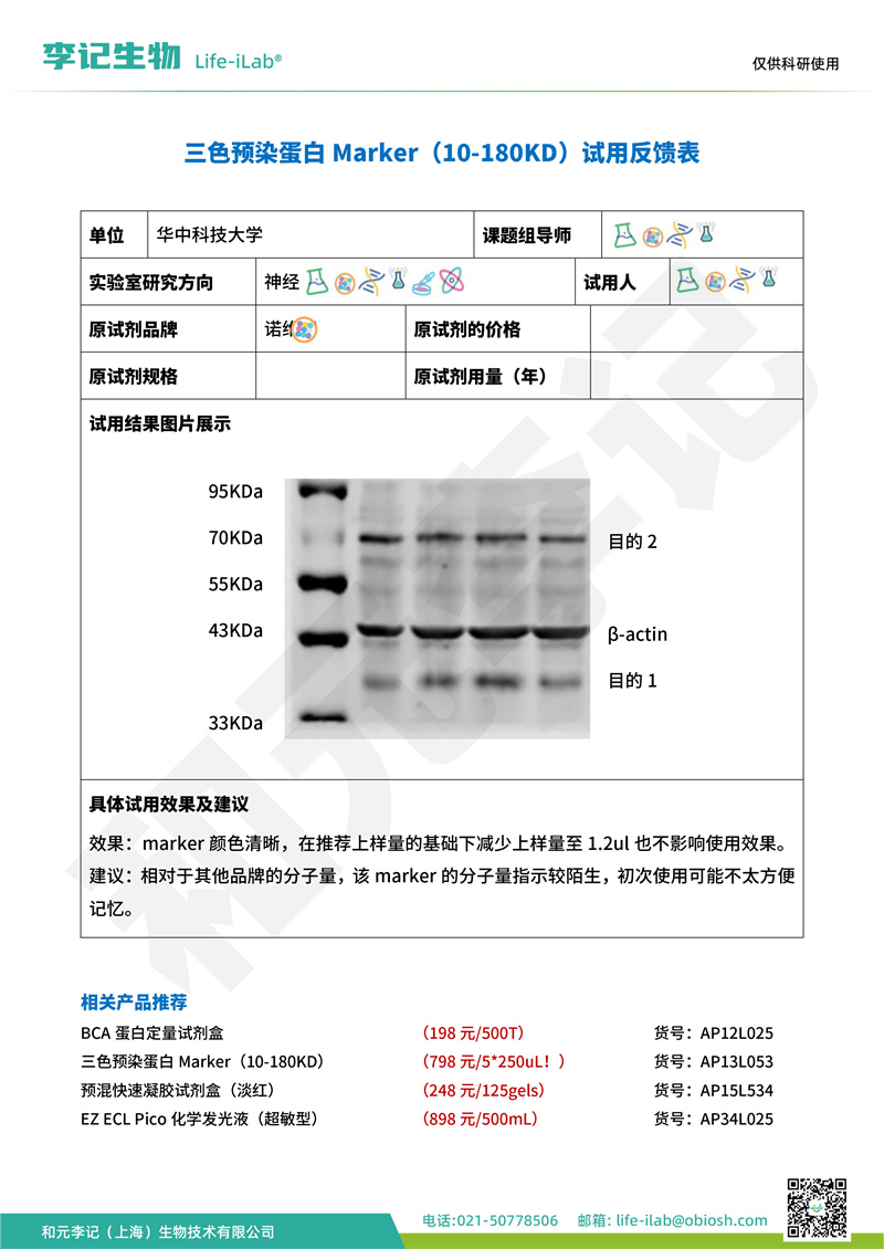 202408-蛋白Mark180-华中科技大学(1).jpg