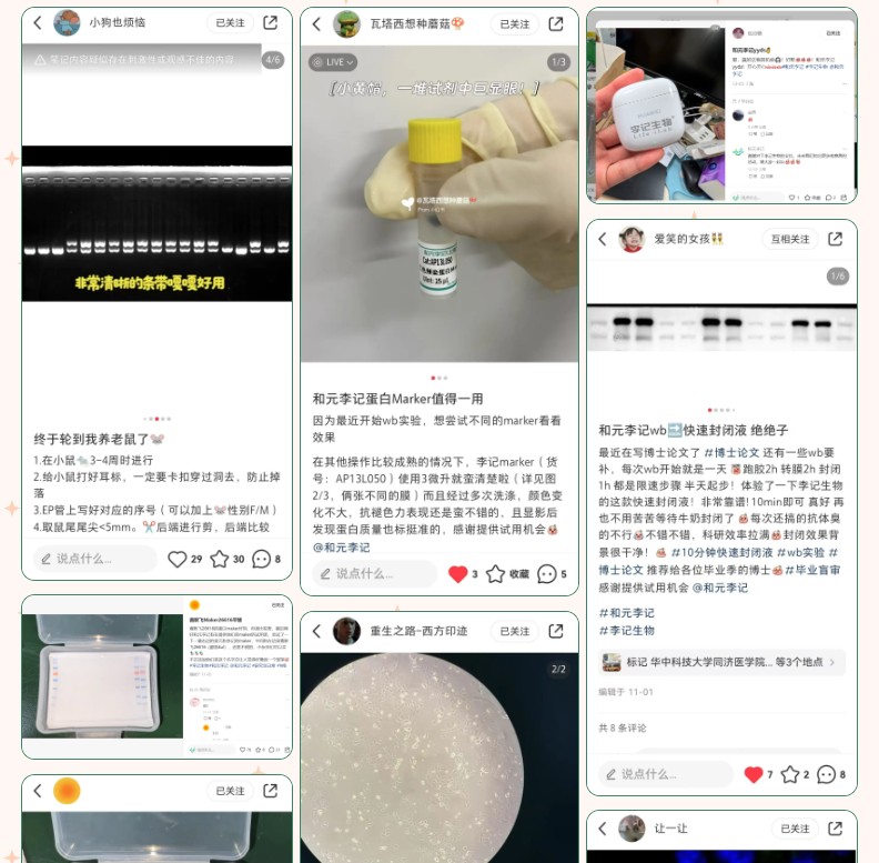 /ueditor/image/20241225/1735114660633689/2.jpg