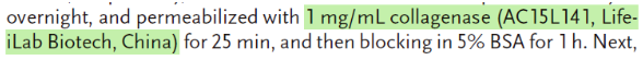 /ueditor/image/20260625/1782355513924621/image.png image.png
